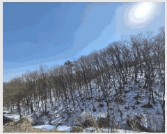  2025Ÿ��777 ��� ���ν� ó�α� ��ϸ� ��õ�� ��40-5     ����(�Ӿ�)���