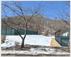  2025Ÿ��777 ��� ���ν� ó�α� ��ϸ� ��õ�� ��40-5     ����(�Ӿ�)���