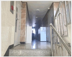  2025Ÿ��846  �ٸ��ü����