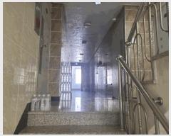  2025Ÿ��846  �ٸ��ü����