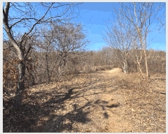  2025Ÿ��863 ��� ȭ���� ������ ��ȣ�� ��24-5      ����(�Ӿ�)���