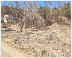  2025Ÿ��863 ��� ȭ���� ������ ��ȣ�� ��24-5      ����(�Ӿ�)���