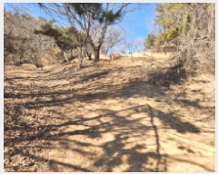  2025Ÿ��863 ��� ȭ���� ������ ��ȣ�� ��24-5      ����(�Ӿ�)���