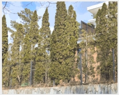  2025Ÿ��905 ��� ���ν� ���ﱸ ���ŵ� 261-8      ���ð��