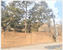  2025Ÿ��905 ��� ���ν� ���ﱸ ���ŵ� 261-8      ���ð��