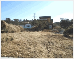  2025Ÿ��52457  �󰡰��