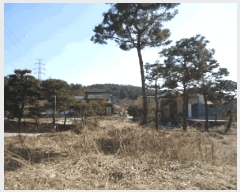  2025Ÿ��52457  �󰡰��