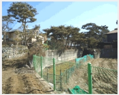  2025Ÿ��52457  �󰡰��