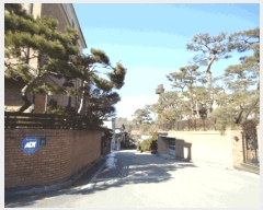  2025Ÿ��52457  �󰡰��