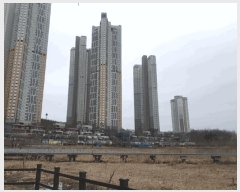  2025Ÿ��54101  ����Ʈ���