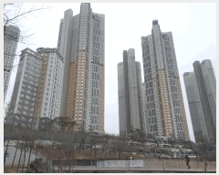  2025Ÿ��54101  ����Ʈ���