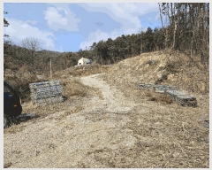  2025Ÿ��54381  �����