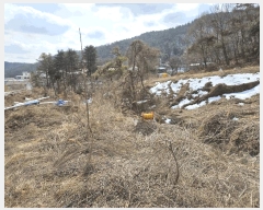  2025Ÿ��54381  �����