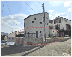  2025Ÿ��54381  �����