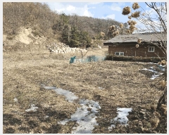  2025Ÿ��54381  �����