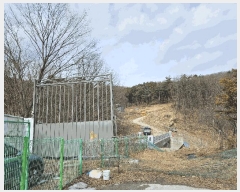  2025Ÿ��54381  �����