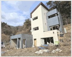  2025Ÿ��54381  �����