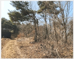  2025Ÿ��54389  �Ӿ߰��