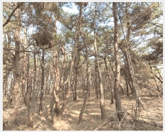  2025Ÿ��54389  �Ӿ߰��