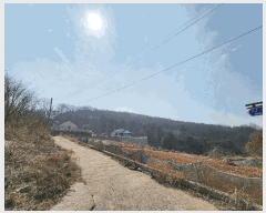  2025Ÿ��54389  �Ӿ߰��