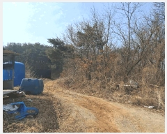  2025Ÿ��54389  �Ӿ߰��