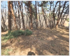  2025Ÿ��54389  �Ӿ߰��