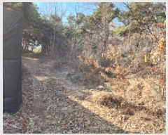  2025Ÿ��54389  �Ӿ߰��