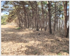  2025Ÿ��54389  �Ӿ߰��