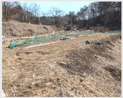  2025Ÿ��54443  ����