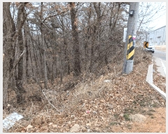  2025Ÿ��54443  ����