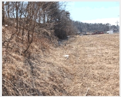  2025Ÿ��54443  ����