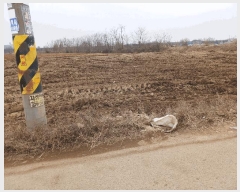  2025Ÿ��54443  ����