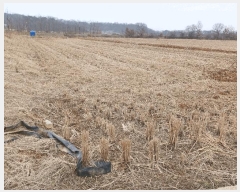  2025Ÿ��54443  ����