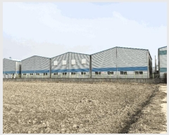  2025Ÿ��54863 ��� ȭ���� ������ ���⸮ 2-34      ������