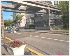  2025Ÿ��55288 ��� ���ν� ���ﱸ ������ 1069 �ŵ����Ĺи�������Ʈ 1208�� 20��2005ȣ   ����Ʈ���