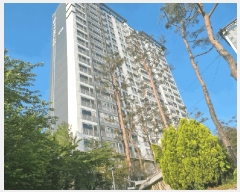  2025Ÿ��55288 ��� ���ν� ���ﱸ ������ 1069 �ŵ����Ĺи�������Ʈ 1208�� 20��2005ȣ   ����Ʈ���
