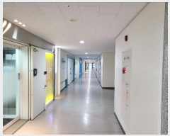  2025Ÿ��15 ��� �ϳ��� �̻��� 520, 9��������09-032ȣ (��ǳ��,�������Ļ�������Ѱ��̻�2��-25����)     ����Ʈ��������