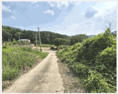  2025Ÿ��50010  �Ӿ߰��