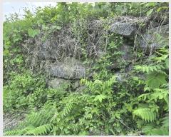  2025Ÿ��50010  �Ӿ߰��