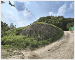  2025Ÿ��50010  �Ӿ߰��