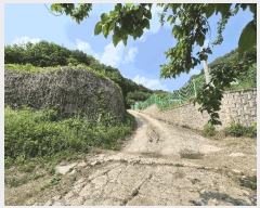  2025Ÿ��50010  �Ӿ߰��