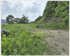  2025Ÿ��50010  �Ӿ߰��