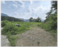  2025Ÿ��50010  �Ӿ߰��