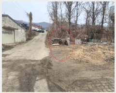  2025Ÿ��50225  ���ð��