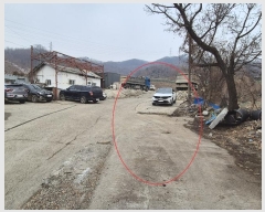  2025Ÿ��50225  ���ð��