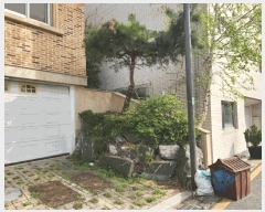  2025Ÿ��51907  ���ð��