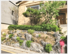  2025Ÿ��51907  ���ð��