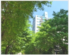  2025Ÿ��52041 ��� ������ ������ ������ 4663 ��ξ���Ʈ 105�� 11��1101ȣ   ����Ʈ���