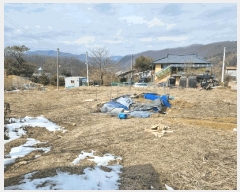  2025Ÿ��51501  �����