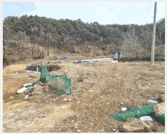  2025Ÿ��51501  �����